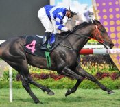 Golden Number<br>Photo by Singapore Turf Club